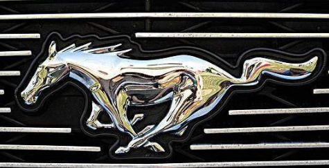 以動(dòng)物圖案作為LOGO的汽車，你能認(rèn)出幾個(gè)？又能養(yǎng)得起多少