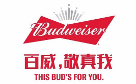 假冒 “百威”商標(biāo)罐裝啤酒，廣西玉林興業(yè)縣法院審理首起侵犯知識產(chǎn)權(quán)罪案件